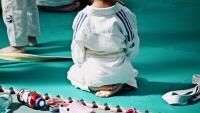 judo sport-3468115 1280